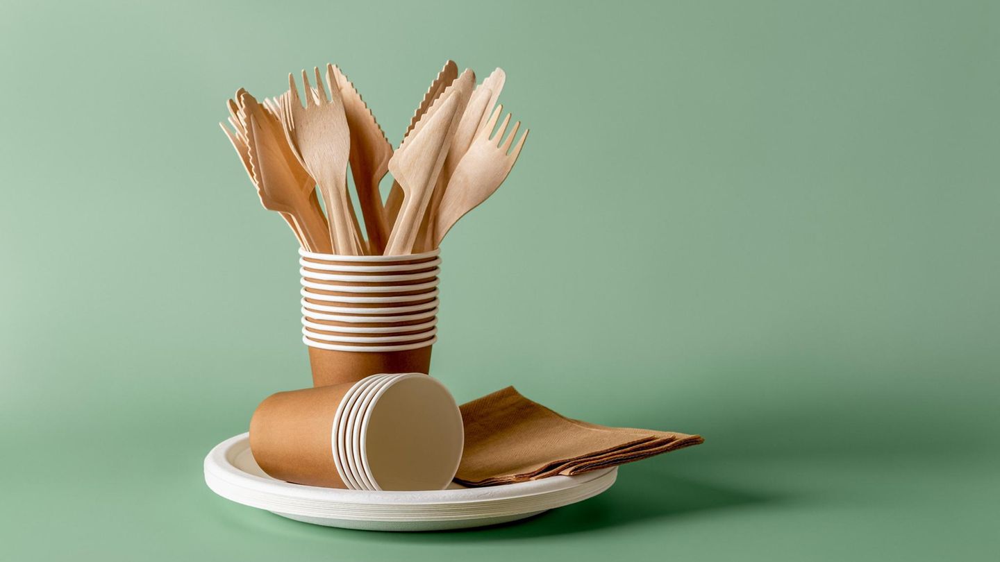 Ein Set Einweg-Geschirr aus Pappe auf grünem Grund