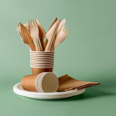 Ein Set Einweg-Geschirr aus Pappe auf grünem Grund