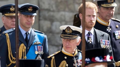 Prinz William, König Charles III., Prinz Harry