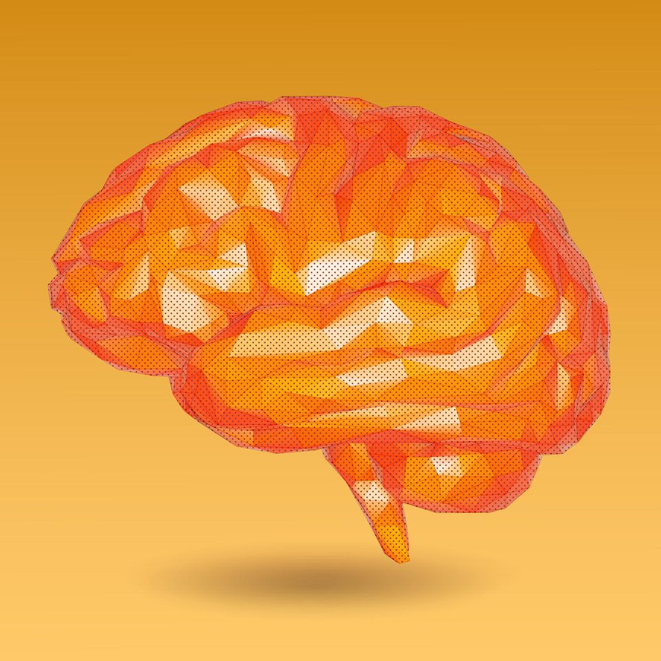 Illustration eines orangefarbenen Gehirns vor gelbem Hintergrund