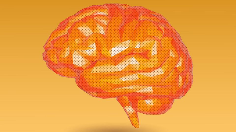 Illustration eines orangefarbenen Gehirns vor gelbem Hintergrund