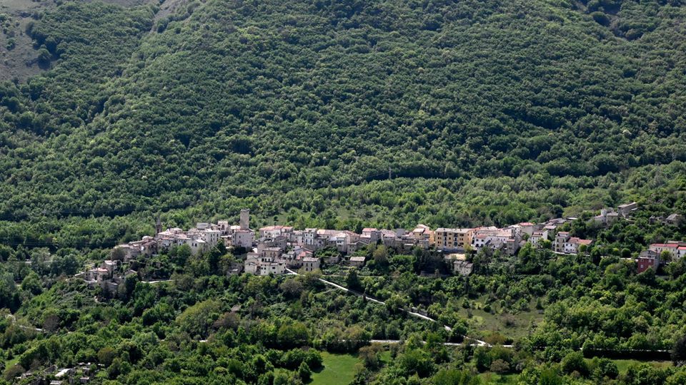 Einsam liegt Cocullo in einem Tal in den Abruzzen, rund 150 Kilometer östlich von Rom. Das Bergdorf mit seinen 213 Einwohnern führt 364 Tage im Jahr ein sehr beschauliches Leben. Am 1. Mai jedoch kommen tausende Touristen, um dem Festa dei Serpari, dem Fest der Schlangenfänger, beizuwohnen. 