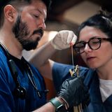 Professor Mendoza Jairo Alonso von der Universität in Bari und seine Kollegin untersuchen vor dem Fest die gefangenen Schlangen.