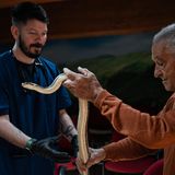 Tonino, einer der Schlangenfänger aus Cocullo, zeigt seinen Fang Professor Mendoza Jairo Alonso von der veterinärmedizinischen Fakultät der Universität Bari. 