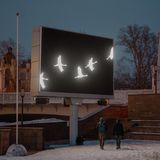 Kraniche auf elektronischen Plakatwänden bei Nacht