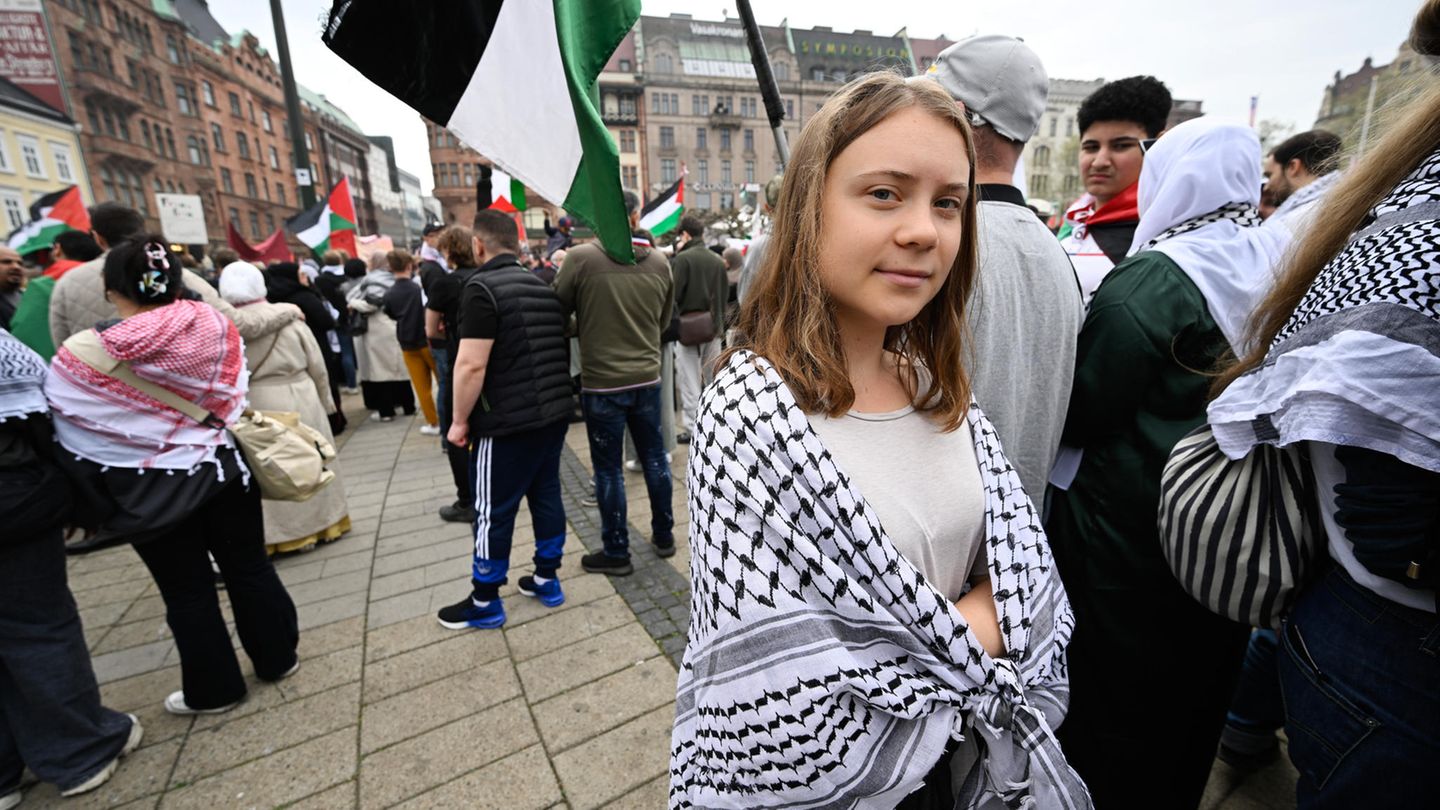 Greta Thunberg bei einer Demonstration in Malmö