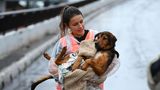 Frau trägt einen nassen Hund in Brasilien