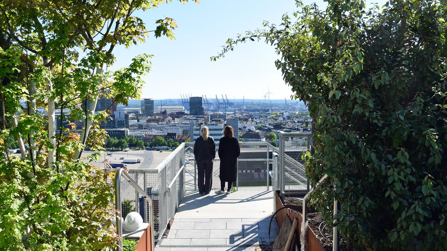 Der neue Lieblingsort auf dem Bunker mit Weitblick Der neue Lieblingsort auf dem Bunker mit Weitblick