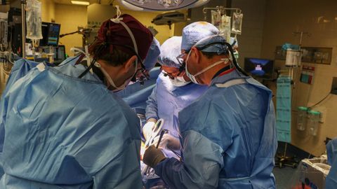 Ärzte bei der Transplantation der Schweineniere im Massachusetts General Hospital