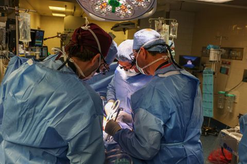 Ärzte bei der Transplantation der Schweineniere im Massachusetts General Hospital