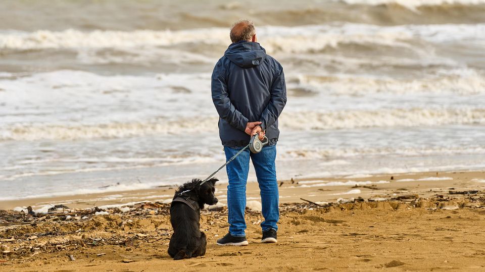 Rente: Mann schaut auf das Meer hinaus, während er mit seinem Hund an der Leine durch den Sandstrand spazieren geht