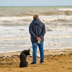 Rente: Mann schaut auf das Meer hinaus, während er mit seinem Hund an der Leine durch den Sandstrand spazieren geht