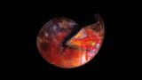 Rot schillernder Ammonit mit Schale