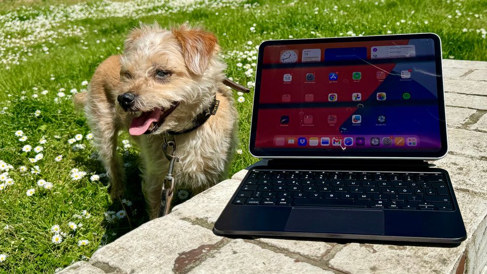 Das Magic Keyboard im Alu-Look lässt das iPad wie ein Notebook wirken