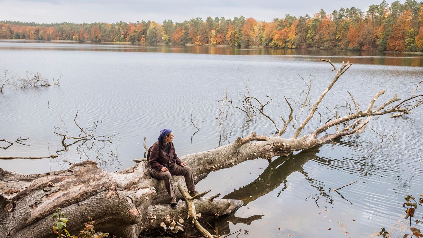 Christine Thuermer Christine Thuermer sitzt auf einem alten Baum der in einen See hinein ragt und schaut auf das Wasser