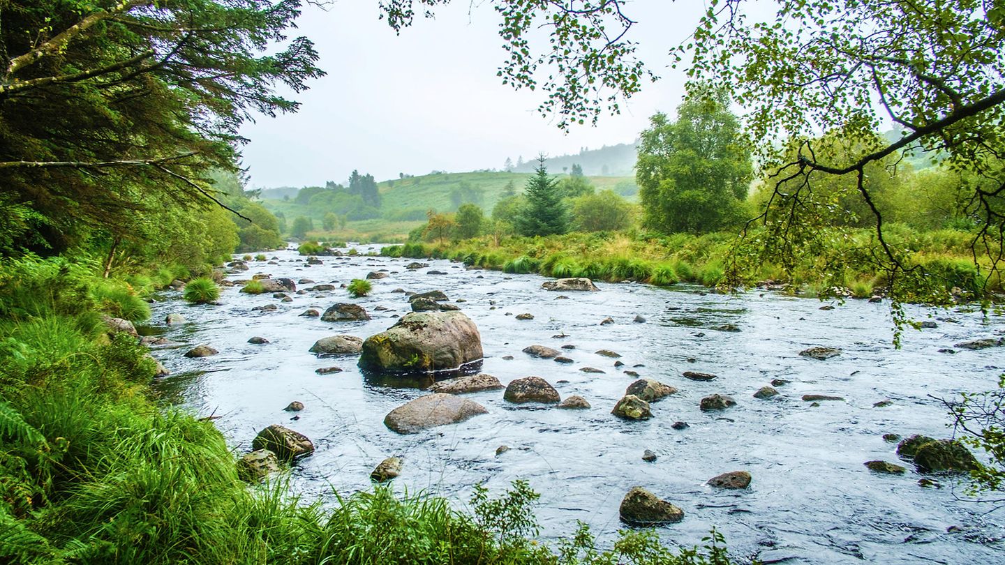 Grüne Landschaft am River Dee beim Stroan Loch, Parton, Galloway Nationalpark Grüne Landschaft am River Dee beim Stroan Loch, Parton, Galloway Nationalpark