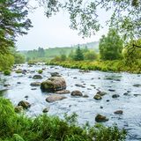 Grüne Landschaft am River Dee beim Stroan Loch, Parton, Galloway Nationalpark