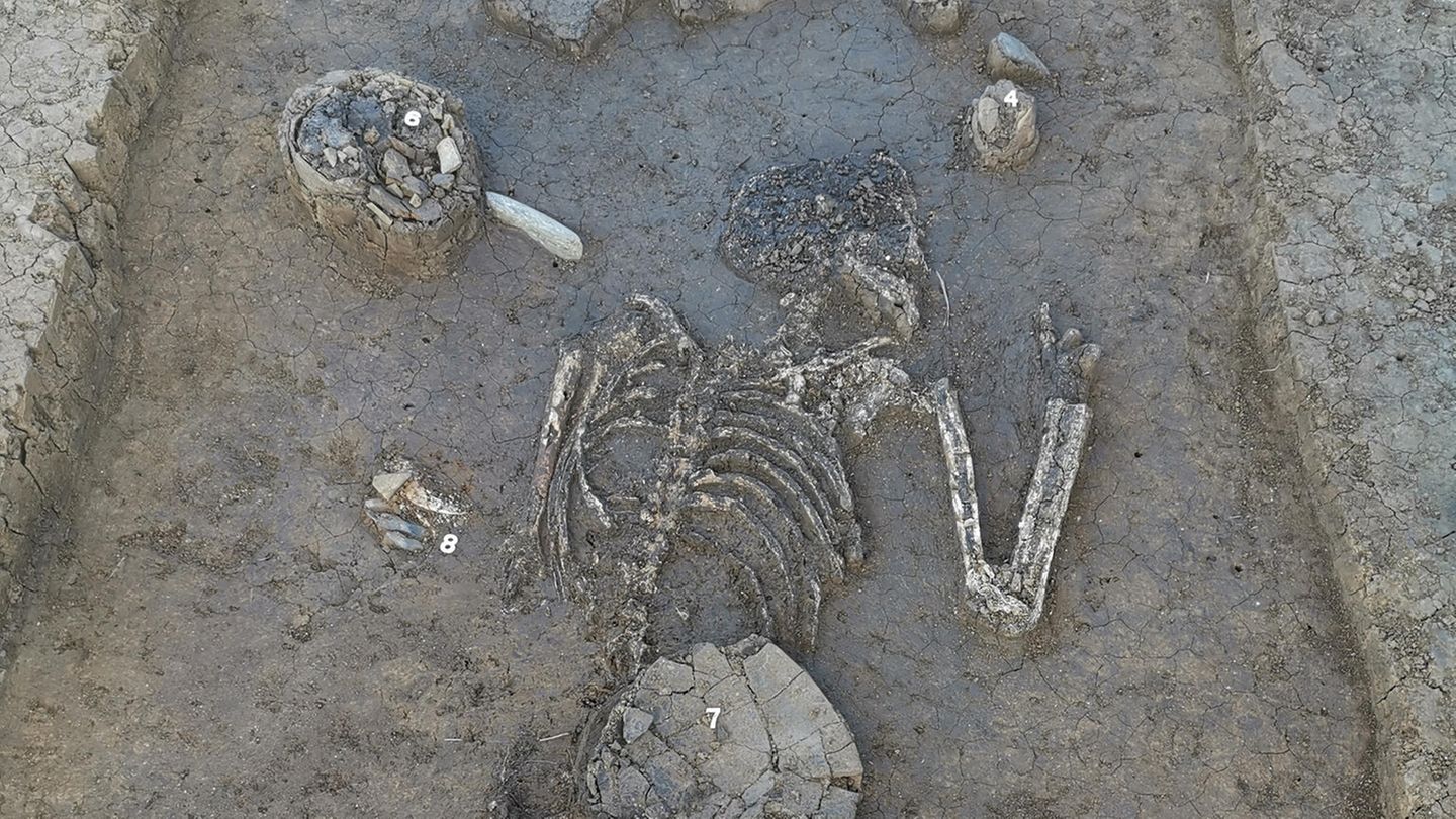 Ausgegrabenes Skelett in der Erde