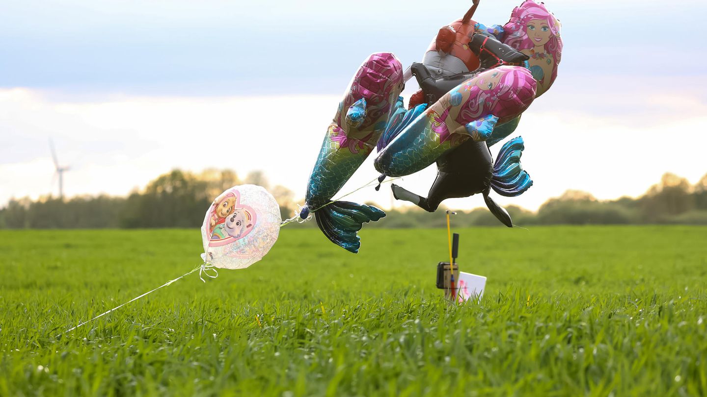 Bei der Suche nach Arian wurden sogar Luftballons eingesetzt Luftballons auf einem Feld, sie sollten den verschwundenen Arian anlocken