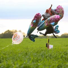 Luftballons auf einem Feld, sie sollten den verschwundenen Arian anlocken