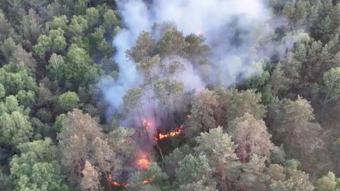 Lübtheen: Ehemaliger Truppenübungsplatz steht erneut in Flammen