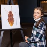 Ein Zwergkäfer wurde nach Greta Thunberg benannt