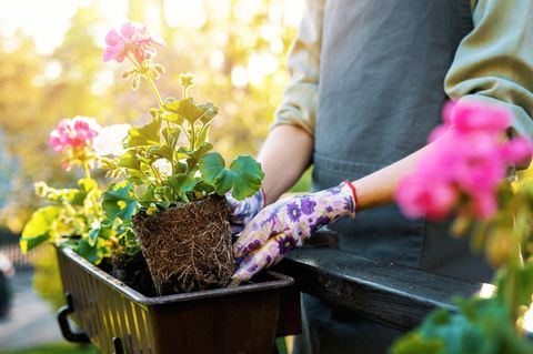 Junge Frau genießt die Sonne auf romantischem Balkon mit Blumenkästen