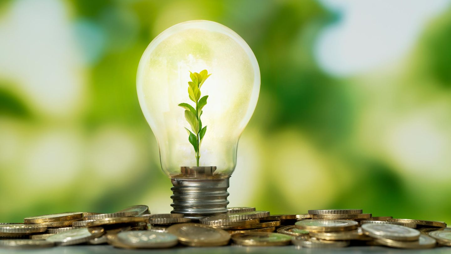 Strom sparen – Energiekosten senken mit fünf tollen Tricks