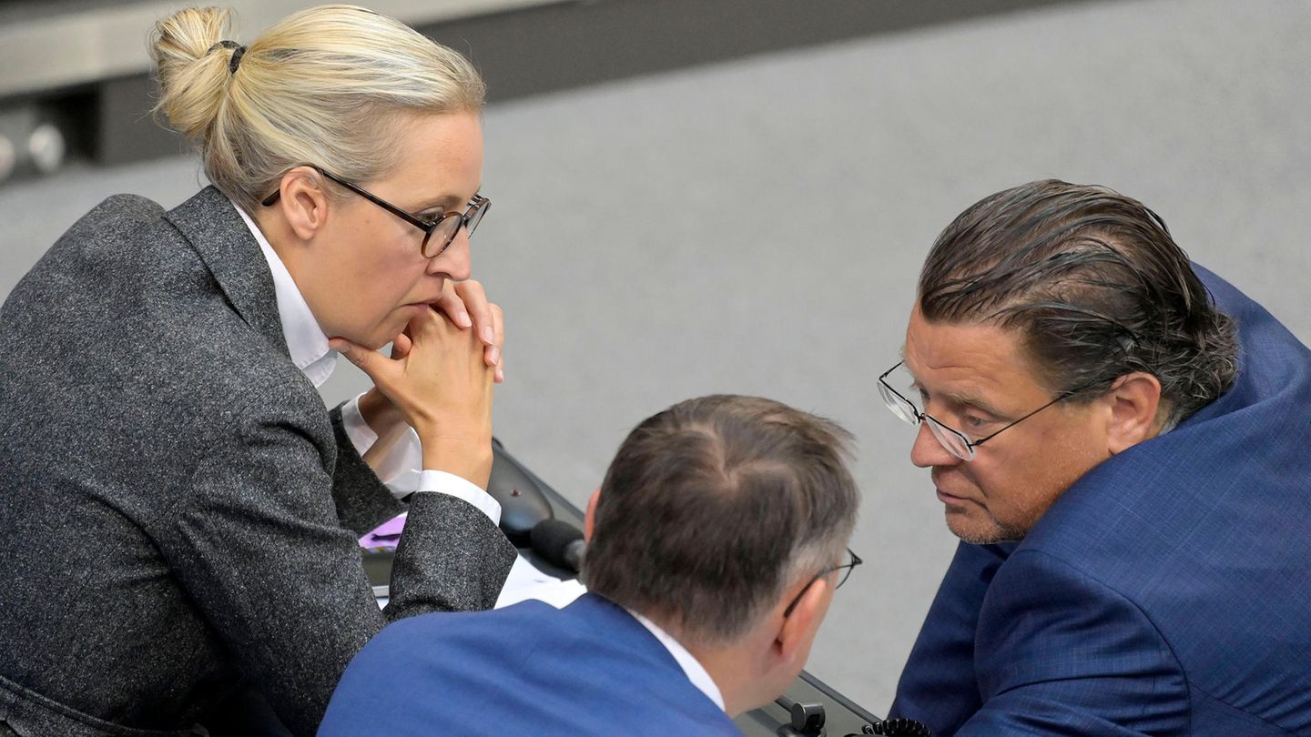 Alice Weidel, Tino Chrupalla und Stephan Brandner von der AfD