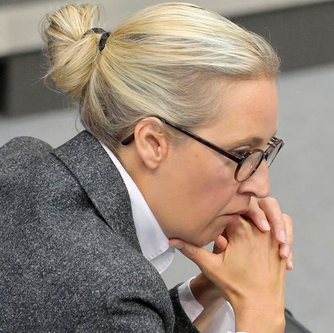 Alice Weidel, Tino Chrupalla und Stephan Brandner von der AfD