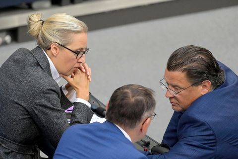 Alice Weidel, Tino Chrupalla und Stephan Brandner von der AfD