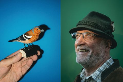 Finkenkönig: Horst Rieche studiert seit seiner Kindheit den Gesang der Buchfinken