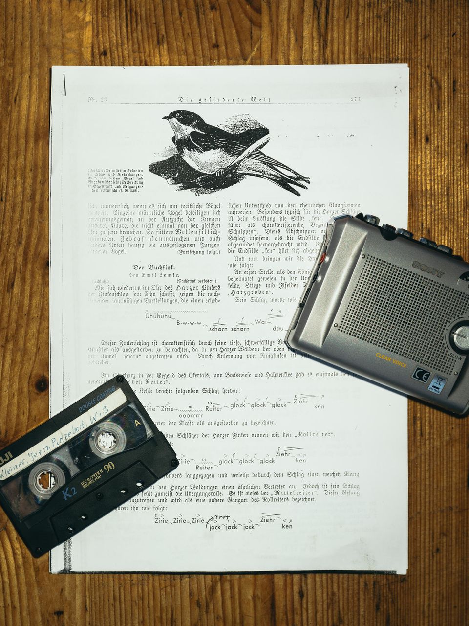 Rieches Kassette mit alten Buchfinkengesängen liegt auf einem Tisch Rieches Kassette mit alten Buchfinkengesängen liegt auf einem Tisch