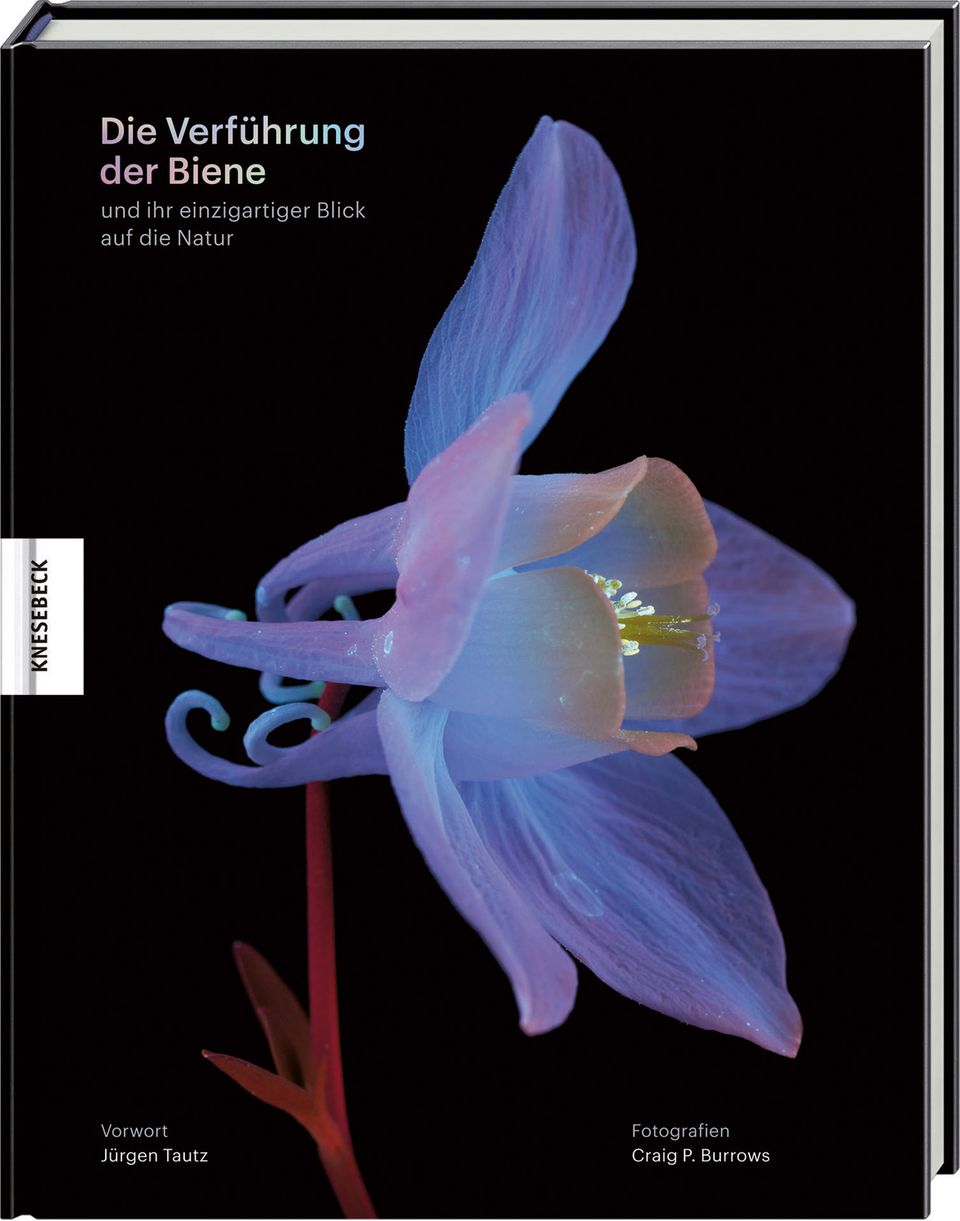 Buchcover Buchcover