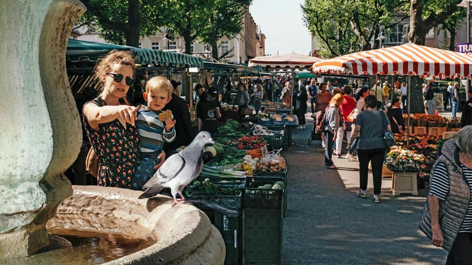 Eine Frau mit Kind zeigt auf eine Taube, die auf dem Brunnen am Limburger Wochenmarkt sitzt