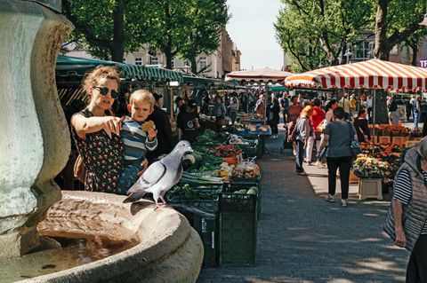 Eine Frau mit Kind zeigt auf eine Taube, die auf dem Brunnen am Limburger Wochenmarkt sitzt