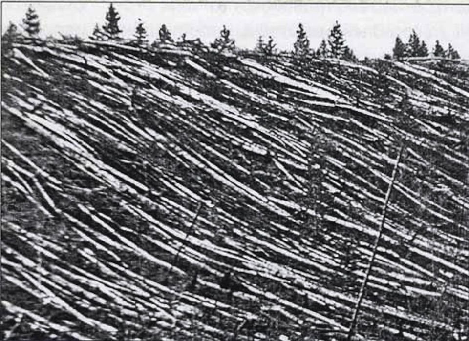 Sternschnuppe, Meteorit, Asteroid, Komet: Was ist das da am Himmel ...