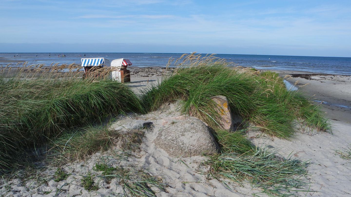 Mit dem Campervan nach Fehmarn