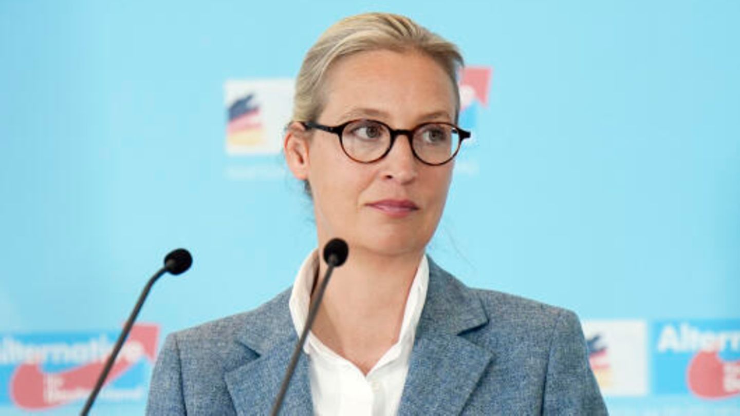 Auch ein Besuch von AfD-Chefin Alice Weidel in Paris Ende Februar besänftigte die französischen Rechtspopulisten nicht