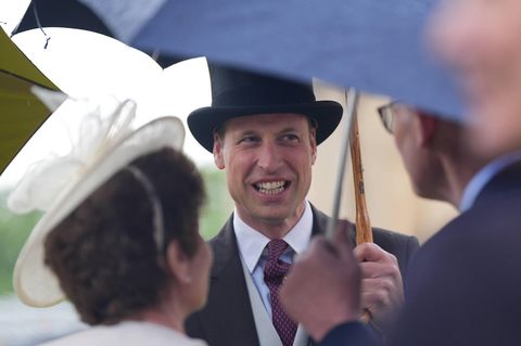 Prinz William