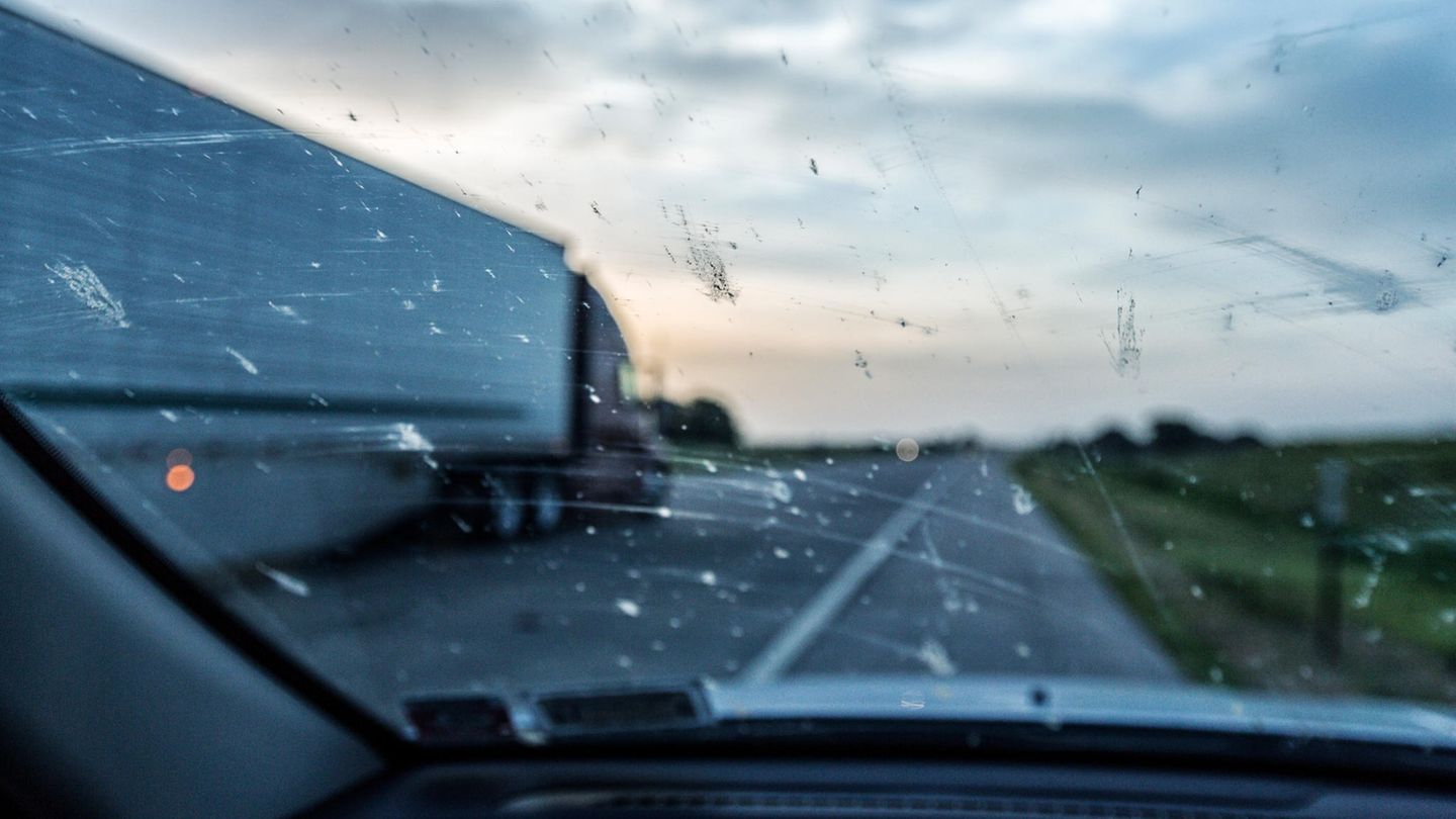 Eine von Insekten verdreckte Autoscheibe