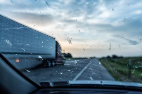 Eine von Insekten verdreckte Autoscheibe