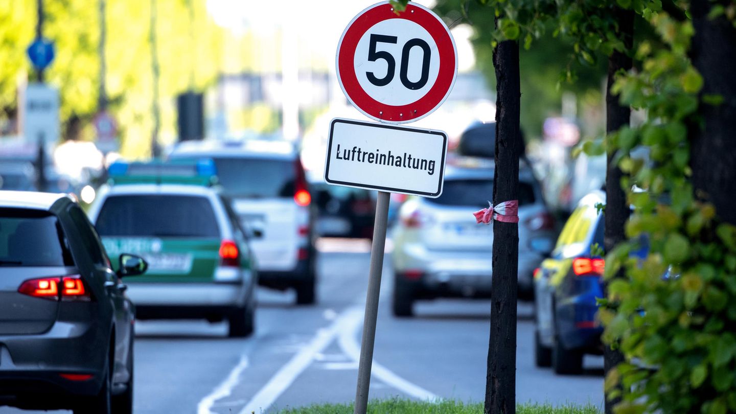 1994 wurde der Umweltschutz als Staatsziel im Grundgesetz festgeschrieben und im Jahr 2002 nach jahrelanger Debatte durch den Tierschutz ergänzt. Die Union war zuerst dagegen, änderte ihre Meinung aber vor allem wegen des sogenannten Schächturteils des Bundesverfassungsgerichts.  Damit hatte das Gericht in Deutschland lebenden muslimischen Metzgern erlaubt, mit einer Ausnahmegenehmigung Schlachttiere aus religiösen Gründen ohne Betäubung mit einem Schnitt durch die Kehle zu töten. Das war zwar laut Tierschutzgesetz verboten, wurde aber durch die im Grundgesetz festgeschriebene Religionsfreiheit aufgehoben.