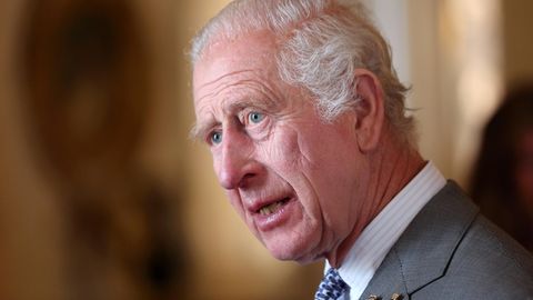 König Charles sowie weitere arbeitende Mitglieder der Königsfamilie werden sämtliche Termine verschieben. Grund sind die aufkommenden Wahlen in Großbritannien.