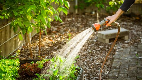 Komposttoilette So funktioniert ein BioKlo im Garten STERN.de