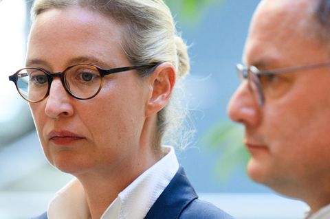 Chaos in der AfD – doch nur ein Vogelschiss in der Geschichte?