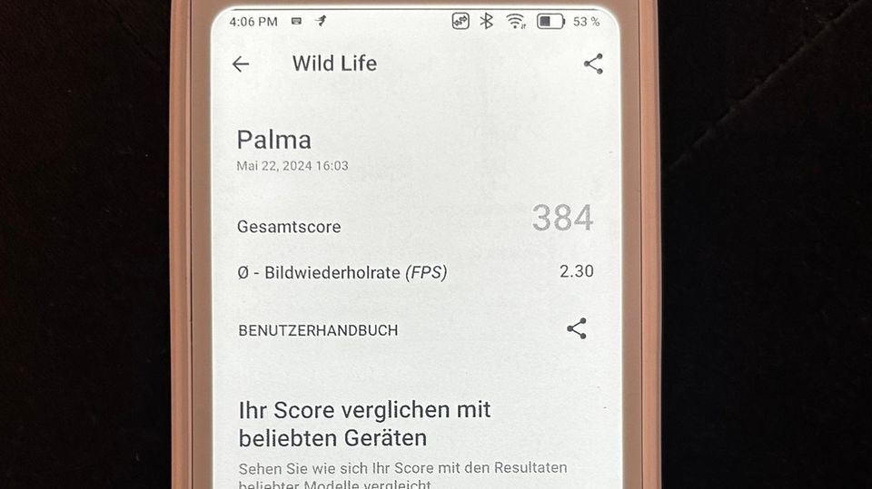 Der Score des Benchmarks des Boox Palma