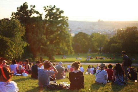 Städter entspannen im Park – oder? 