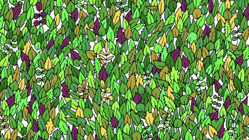 Augentest Finden Sie den kleinen Frosch inmitten der Blätter?