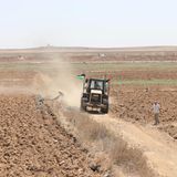 Landiwrtschaft im Gazastreifen